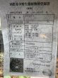 画像4: インドホシガメ（セイロンホシガメ） (4)