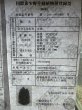 画像4: インドホシガメ　メス (4)