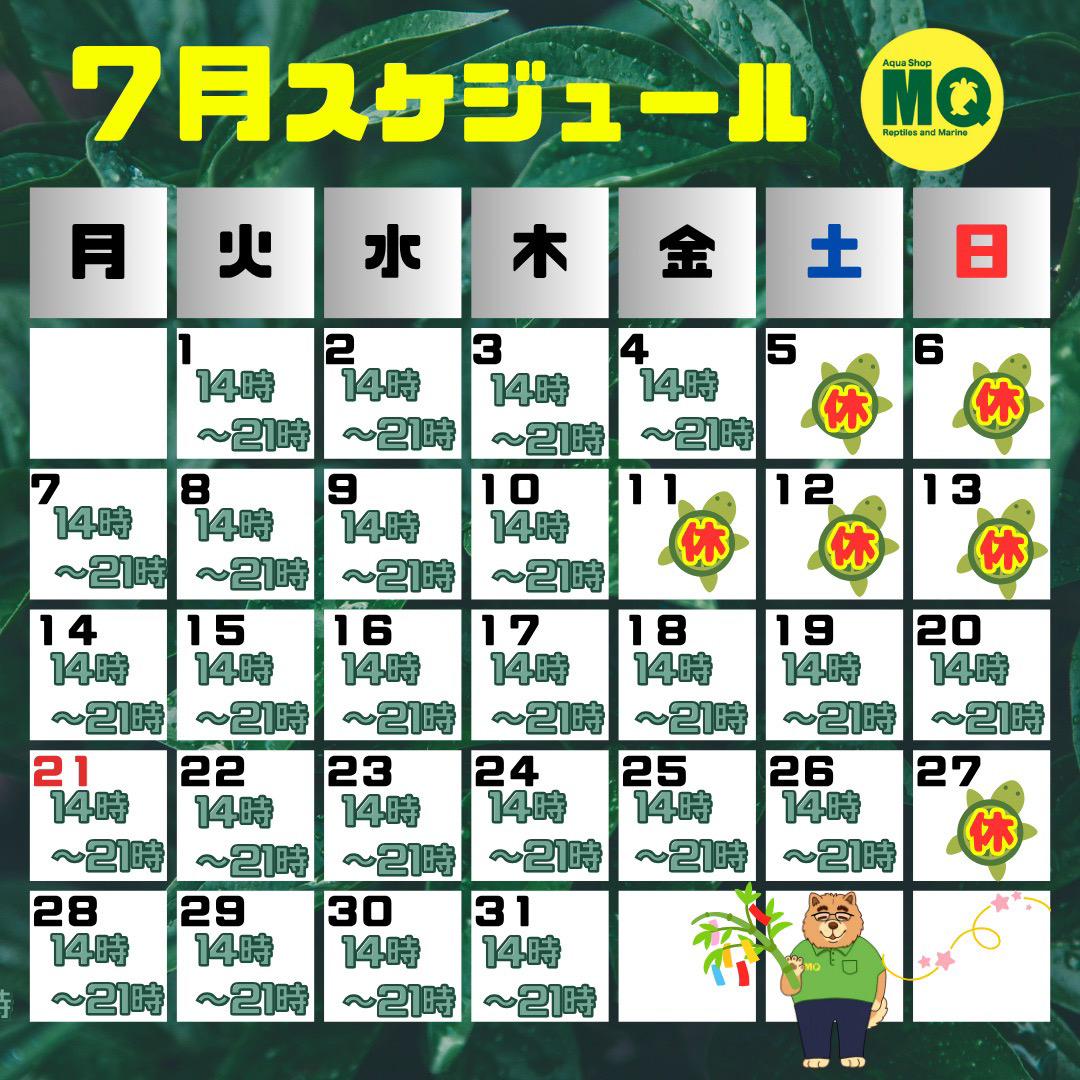 7月の営業日です♪